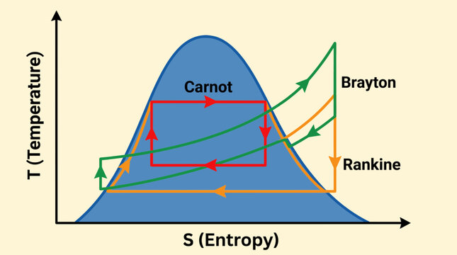 Temperature Entropy TS Diagram for Heat Cycles