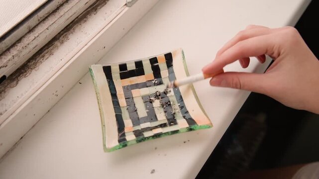Closeup hands seasoning mosaic dish windowsill, home cook uses toothpick to delicately apply garnish and glaze on small ceramic plate in soft afternoon sunlight intimate kitchen detail emphasizing