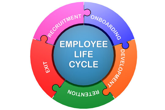 Employee life cycle for business concept