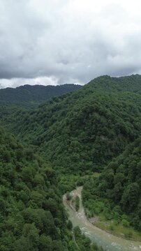 Vertical aerial view over a narrow forested gorge with a winding mountain river below, in the Egrisi Range of Western Georgia.