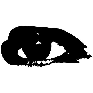Silhouette of vengeful eyes