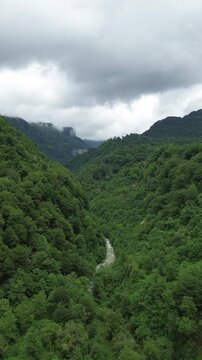 Vertical aerial view flying through a narrow forested gorge with clouds drifting over the Egrisi Range peaks and a mountain river visible below, Georgia.