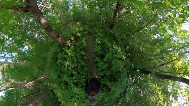 Low angle view while walking a brindle colored dog along a narrow path through a lush forest