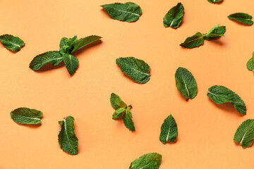 Composition with green mint leaves on color background © Pixel-Shot