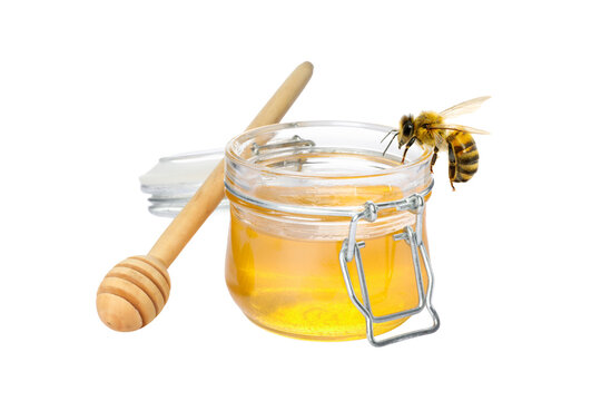 Bee interacts with jar of honey and wooden dipper, PNG