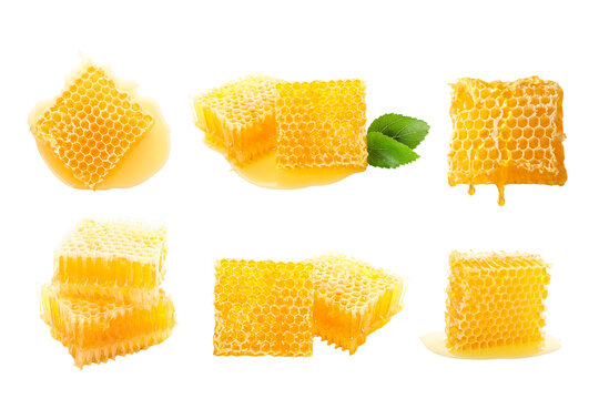Set. Honeycomb pieces arranged artistically with a fresh mint leaf accent, PNG
