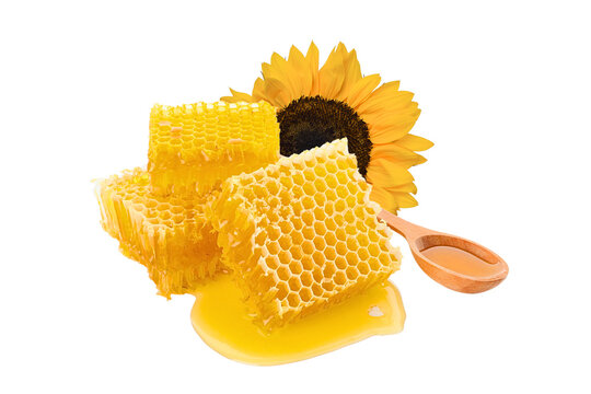 Honeycomb pieces sit beside blooming sunflower, offering vibrant colors, PNG