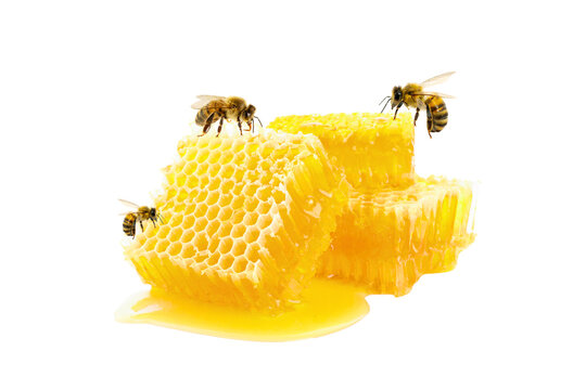 Bees explore honeycomb, collecting nectar from vibrant honey, PNG