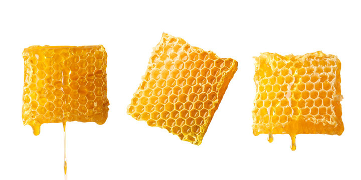 Set. Honeycomb pieces display dripping golden goodness, PNG
