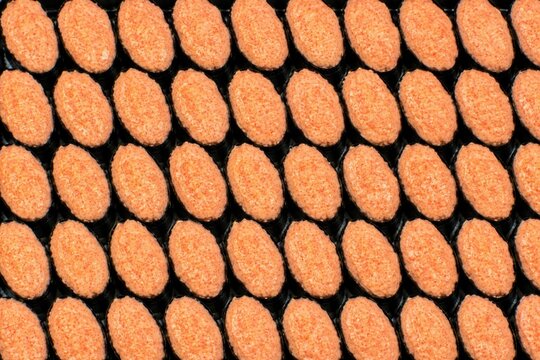 Mentaiko Sushi Background. Sushi Background.