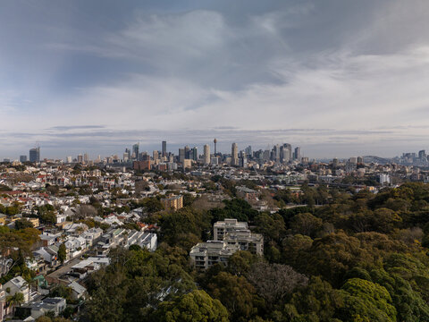 Paddington aerial view of Sydney CBD. Camera above trees to reveals city view.