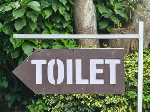 Brown wooden arrow sign with stenciled white letters 'TOILET', pointing right, hangs from a metal post against a lush green garden wall.