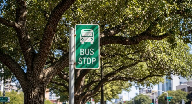 Green Bus Stop Sign Underneath Mature Tree Branches In City