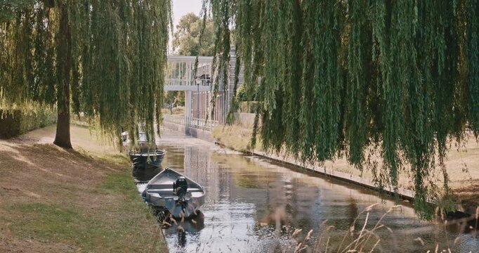 serene waterway scene with rowing boats docked along tranquil canal flanked by weeping willow trees and modern architectural structure in background lush greenery forest reflection calm reflective...