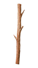 Fototapeta premium Tall tree branch PNG with a transparent background, ideal for designs.