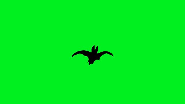 Loop animation of creepy bat silhouettes flying on green chroma key background, ideal for Halloween overlays, spooky horror scenes, wildlife concepts, cinematic transitions, chroma key video editing