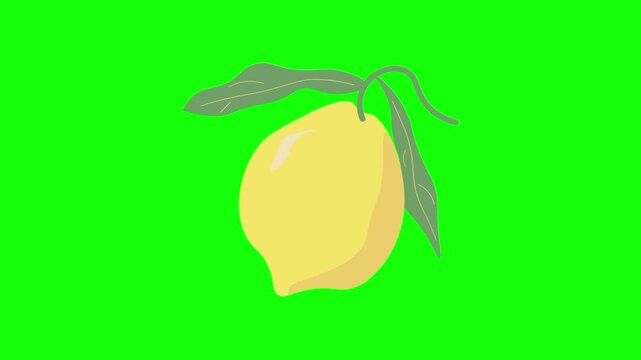 Lemon lime fruit icon sign, isolated whole citrus fruits on green screen. Animated fresh healthy raw food cartoon. Advertisement, illustration idea, organic and natural diet symbol.