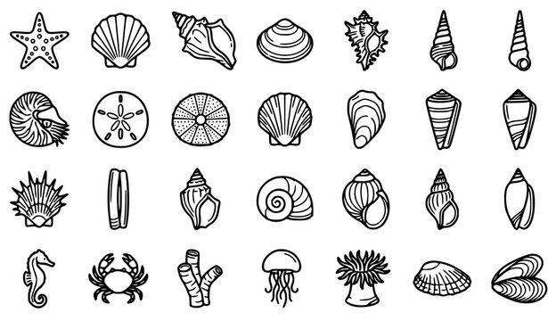 Marine Seashell and Sea Life Outline Vector Collection with Nautilus Starfish Oyster Conch Clam and Coastal Specimen Icons