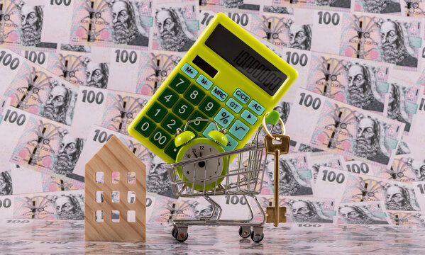 A symbolic wooden house and 100 Czech koruna banknotes.