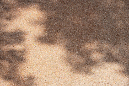 Natural beige sand texture wall with warm sunlight and soft leaf shadows, creating an organic abstract background for design, branding and wallpaper