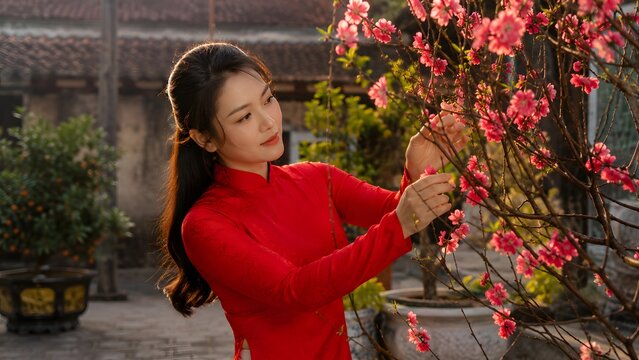 Vietnamese woman in red Ao Dai arranging peach blossoms for Tet Lunar New Year
