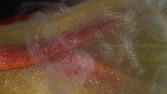 Vertical video. Nature flower. Sparkling splash. Defocused yellow red color tulip plant fog paint in water on abstract background.