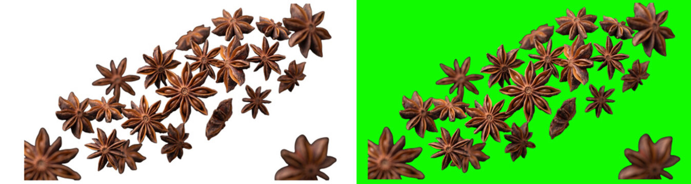 Star anise spice isolated on transparent background