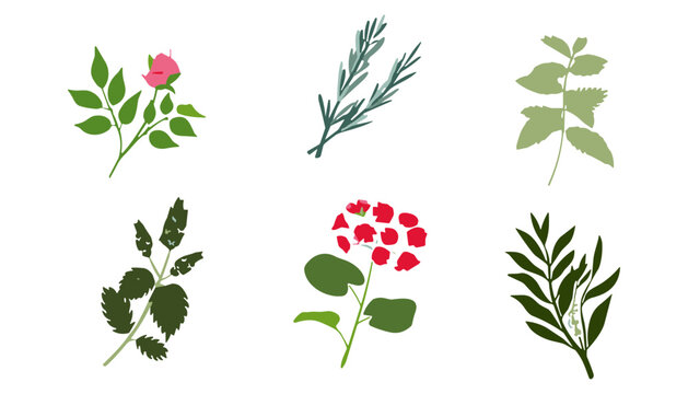 Botanical herb and flower branches set with rose rosemary mint hydrangea and green leaves flat vector illustration collection
