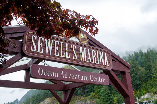 A burgundy sign for Sewell's Marina Ocean Adventure Centre hangs from a timber arch, framed by red maple leaves against a foggy mountain in West Vancouver.