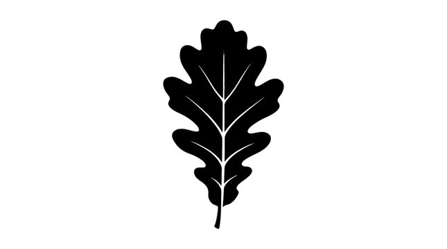 Minimalist oak leaf silhouette, black botanical foliage icon on white background, simple nature element for logo design and branding