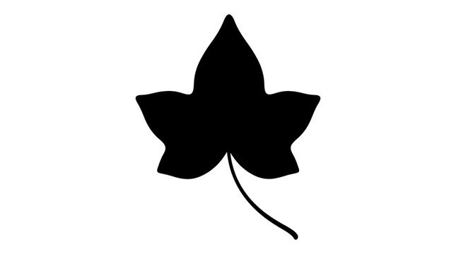 Minimalist ivy leaf silhouette, black botanical foliage icon on white background, simple plant leaf shape for graphic design
