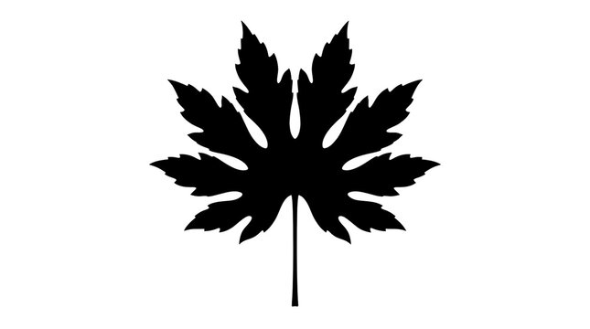 Black maple leaf silhouette, minimalist botanical foliage icon, autumn leaf shape on white background, nature element for logo design