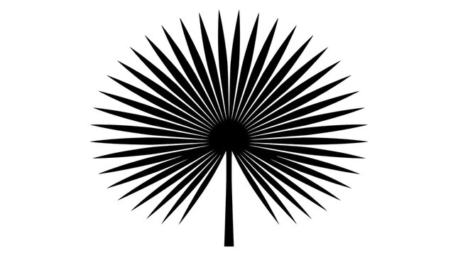 Minimalist palm leaf silhouette, black fan palm frond on white background, tropical botanical plant icon for summer design