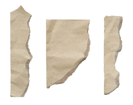 Torn paper strip isolated on transparent background featuring rough ripped edges and vintage texture. Ideal for collage, scrapbook, banner and design projects.