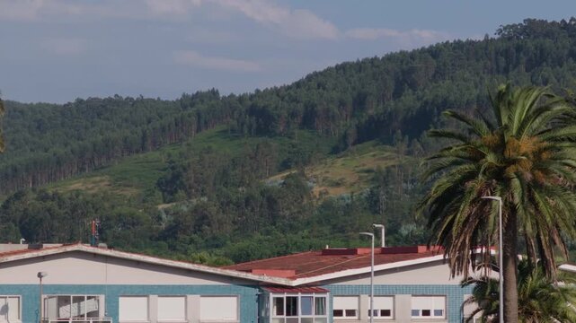 Coastal architecture with a blue building, red roof, and palm trees set against a lush green, tree covered mountain landscape