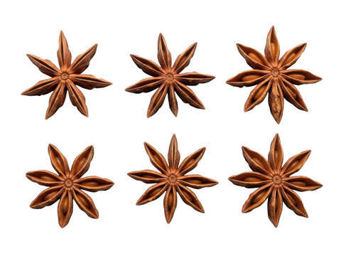 Collection of star-shaped dried aniseeds arranged in a visually appealing pattern