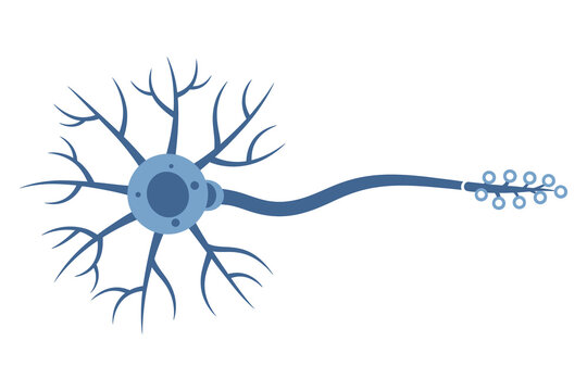 Flat Design Neuron Vector Illustration