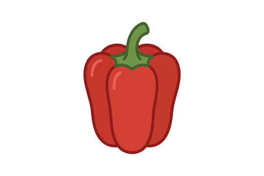 Red Bell Pepper Vector Illustration