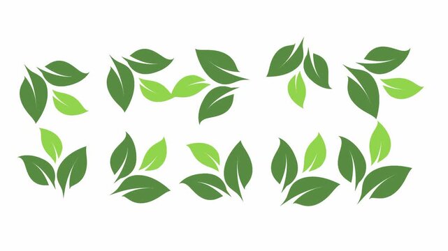 Seamless 4K vector green leaf animation