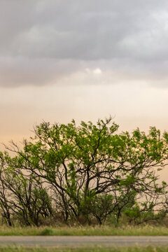 Impacts of Climate Change. El Ni&ntilde;o, the environment, rising global temperatures. Pollution and devastating storms featuring tornadoes and strong winds. Uncontrolled weather.