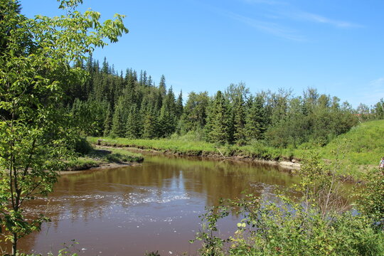 river in the forest, Whitemud Park, Edmonton, Alberta