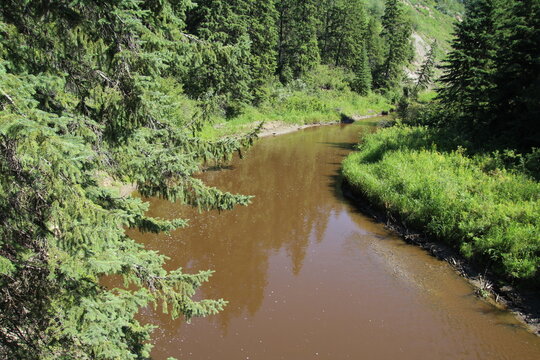 Muddy Creek, Whitemud Park, Edmonton, Alberta