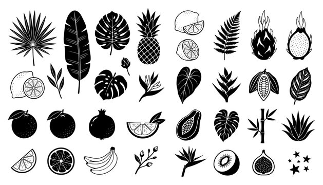 Tropical Fruit and Botanical Palm Leaf Vector Silhouette Icon Set Featuring Pineapple, Dragon Fruit, Monstera, and Exotic Foliage for Nature Graphic Designs
