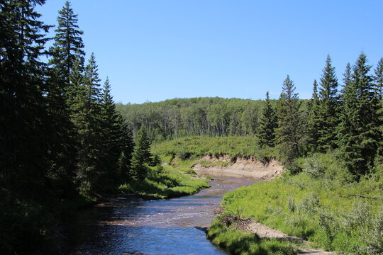 Summer In The Backlands, Whitemud Park, Edmonton, Alberta