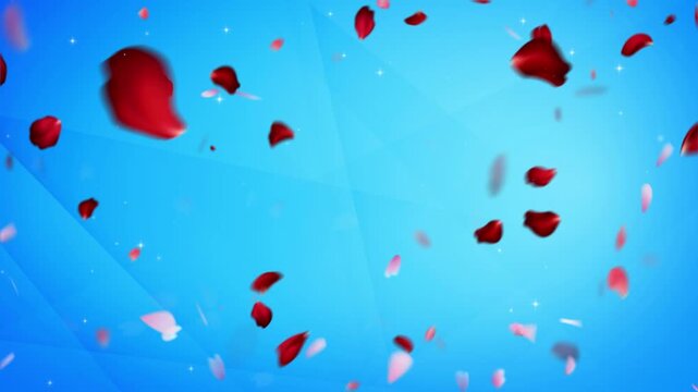Rose petals fall in a graceful cascade across a bright and vibrant blue background for visual elegance.