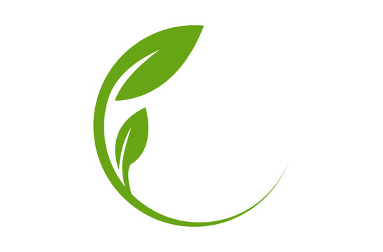 Two green leaves circular logo vector illustration organic eco nature emblem isolated on white background