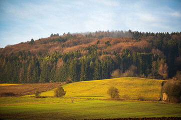 Fototapeta premium Rolling farmland and forest hillside in Bavaria Germany