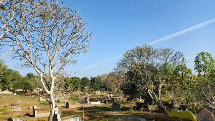 Obraz premium Public cemetery with frangipani trees under a clear blue sky in rural Indonesia