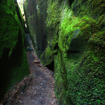 Mossy Canyon Landscape in Alabama