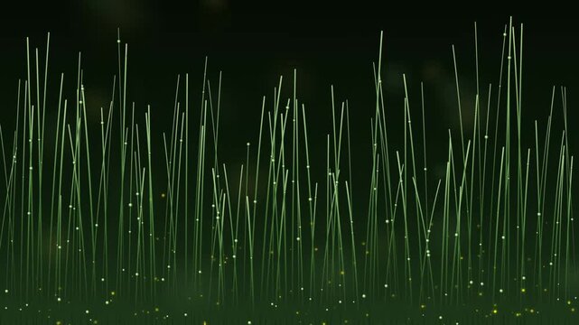 green grass blades swaying gently in a dark background with glowing particles featuring motion, animation, looping
